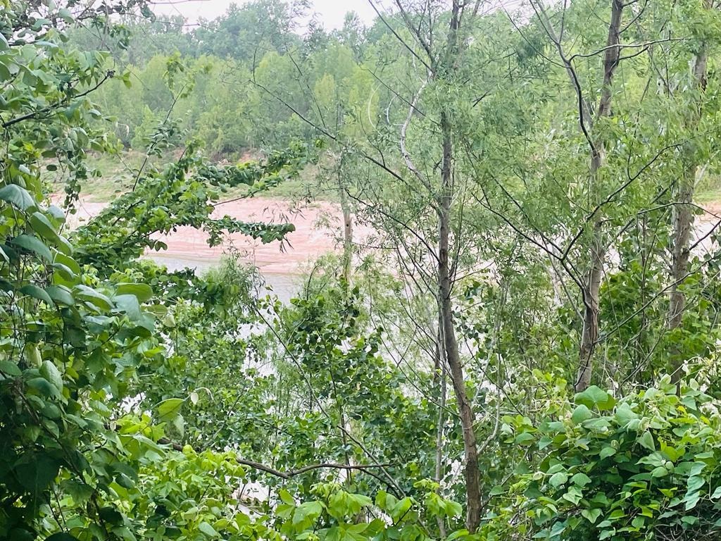 View of the Brazos River through trees from Sugar Land RV Park