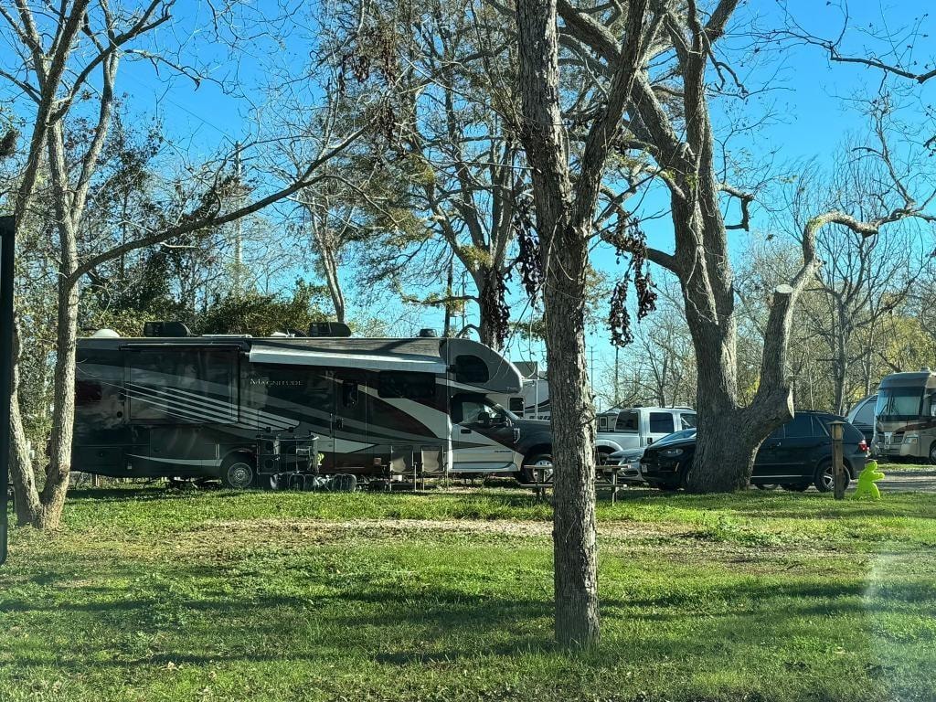 Thor Magnitude motorhome parked among bare trees at Sugar Land RV Park