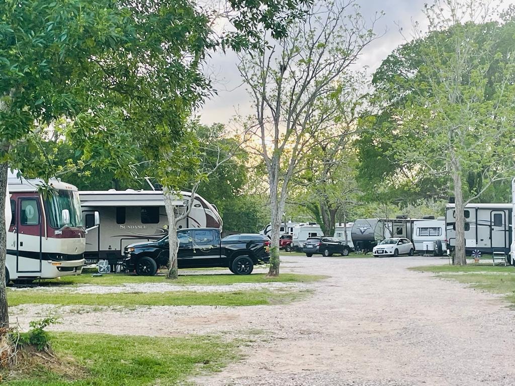 Full view of Sugar Land RV Park with multiple RVs parked among trees at dusk