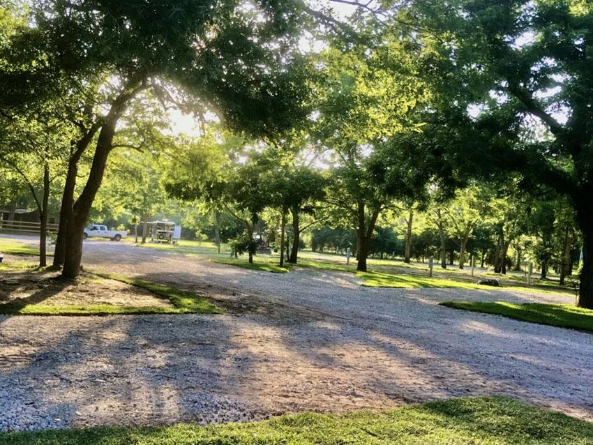 Tree-lined gravel road through Sugar Land RV Park