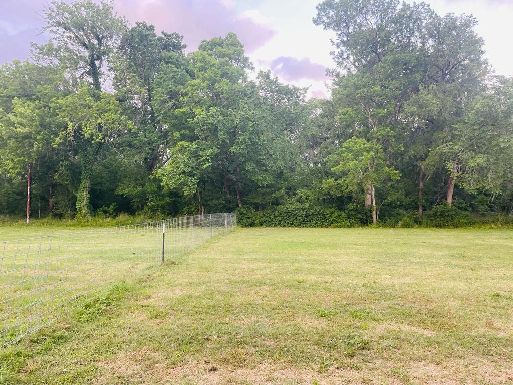Open grassy field with tree line at Sugar Land RV Park